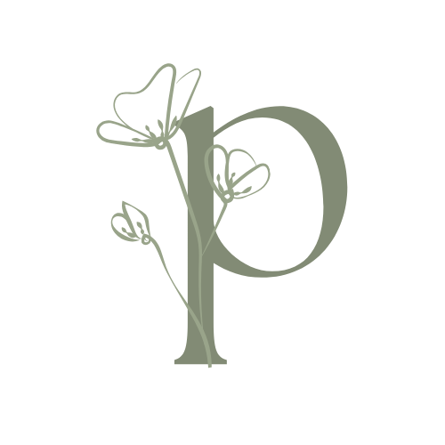 Creative Set-up/ Administrative Fee