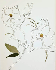 The Sketch Collection- Stem of Magnolia Blooms