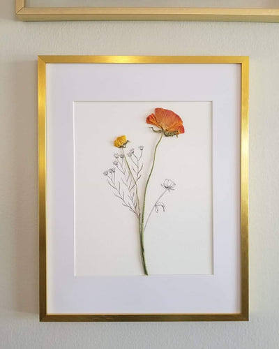The Sketch Collection- Orange Ranunculus