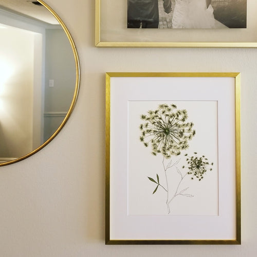 The Sketch Collection- Queen Anne’s Lace - Original Only