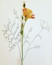 The Sketch Collection- Lisianthus - Original Only