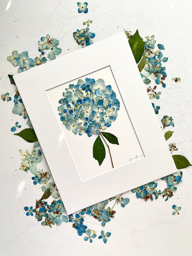 Custom Paper Press- Hydrangea- Choose Size