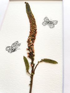 Flutter Flower Collection- 5" x 7" Presses