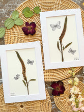 Flutter Flower Collection- 5" x 7" Presses